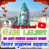 About Gadi Lalsot Ko Dati Pakodi Magati Rhegi Song