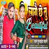 About Lagai Che Tu Beautiful Maithili Song Song