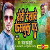 About Dhodi Dekhawe Facebook Par Song