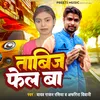 About Tabiz Fel Ba Bhojpuri Song