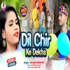 About Dil Chir Ke Dekha Song