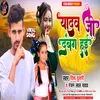 About Aahiran Dabang Hai Indian Bhojpuri Song