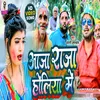 About Aaja Raja Holiya Me Song