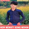 About New Mewati Song Mohin Song