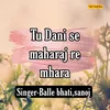 About Tu Dani Se Maharaj Re Mhara Song