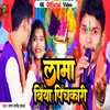 About Lama Biya Pichakari Bhojpuri Song