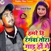 About Hamare Hi Rangva Tora Gado Ho Ga Bhojpuri Song