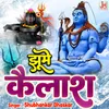 About Jhume Kailash Hindi Song