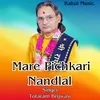 About Mare Pichkari Nandlal Song