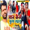 About Jaan Kaise Bhula Gailu Song