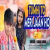 About Tumhi To Meri Jaan Ho Hindi Song