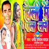 About Holi Me Pala Lage Song