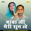 About Baba Ji Meri Sun Le (Hindi) Song