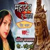 About Mahadev Tu Sahara (Hindi) Song