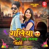 About Galiya Par Rang Lagwa Jaiha Song