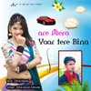 About Are Mera  Yaar Tere Bina Song