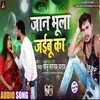 About Jaan Bhula Jaibu Ka Song