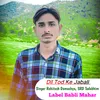 About Dil Tod Ke Jabali Song