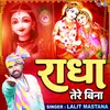 About Radha Tere Bina Song