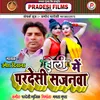 About Holi Me Pardes Sajnwa Song