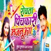 About Rowata Pichkari Majnua Ke Song