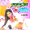 About Majanua Ke Holi Song