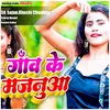 About Gaon Ke Majanua Song