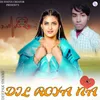 Dil Roya Na