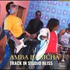 About Chal To Guya Re Amba Bgicha (original audio) Song