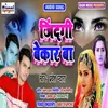 About Jindagi Bekar Ba Song