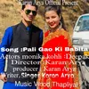 About Pali Gao Ki Babita Song