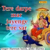 About Tere Darpe Mar Jayenge Tere Sar Song