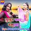 About Sundar Nagar Basaya (Rajasthani) Song
