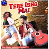 About Tere Ishq Mein (Hindi) Song