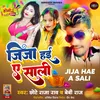 About Jija Hayi Ae Saali (Bhojpuri) Song