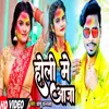 About Holi Me Aaja Song