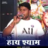 About Hay Shyam (Hindi) Song