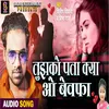 About Tujhko Pata Kya O Bewafa (Hindi) Song