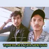 About Tujhe Dil Se Lagaya Meri Jaan (Meena song) Song