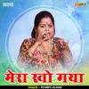 About Mera Kho Gaya (Hindi) Song