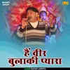 About Hain Veer Bulaki Pyara (Hindi) Song