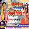 About Sawan Me Jal Dhaar Le Dulha Niman Miltai Ge Song