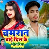 About Chamaran Bare Dil Ke Bhitariya (Bhojpuri) Song