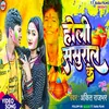 About Holi Sasural Ke Song