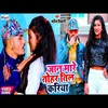 About Jaan Mare Tohar Til Kariya Song