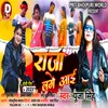 About Raja Lage Aai (Sad Holi) Song