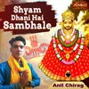 Shyam Dhani Hai Sambhale