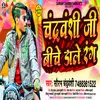 About Chandravanshi Ji Bichhe Dale Rang Song