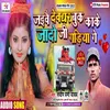 About Jaivai Devghar Book Kake Jado Ji Ke Gadiya Gay Song