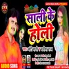 About Sali Ke Holi Song